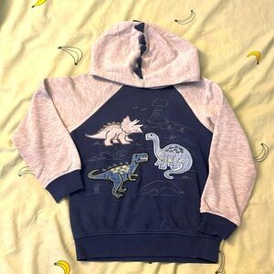 Dino hoodie size 7